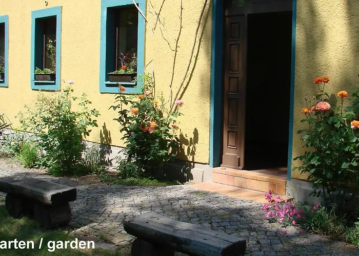 Kangaroo-stop * Дрезден